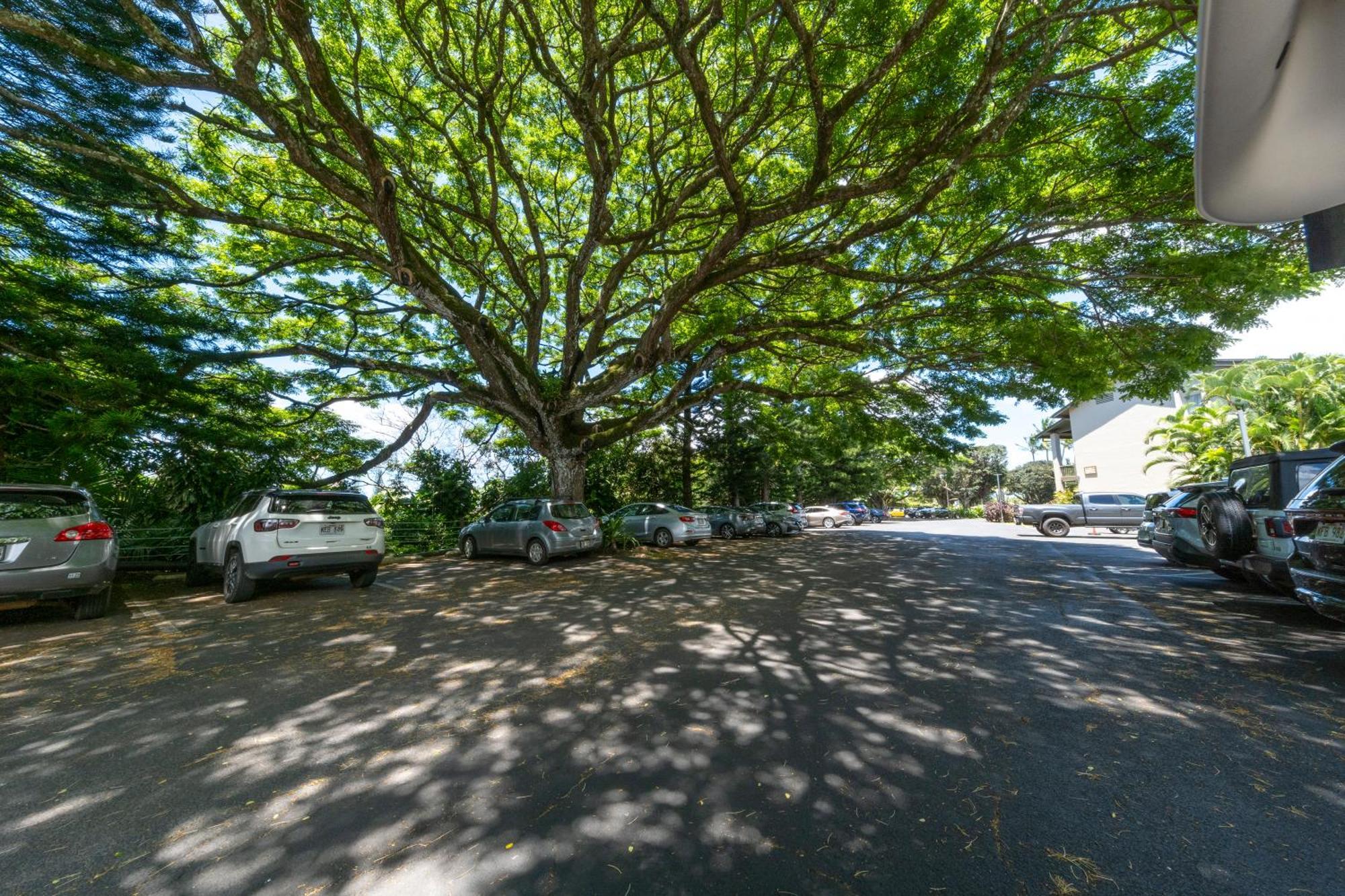Hanalei Bay Resort Принсвилл Экстерьер фото